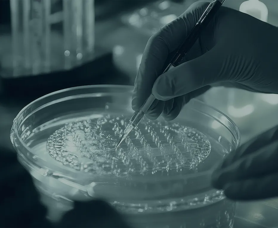 一人ひとりの違いに向き合う医療