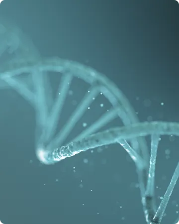 SAWAKO CLINIC x YS | サワコクリニック バイ ワイエス